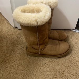 Chestnut Uggs